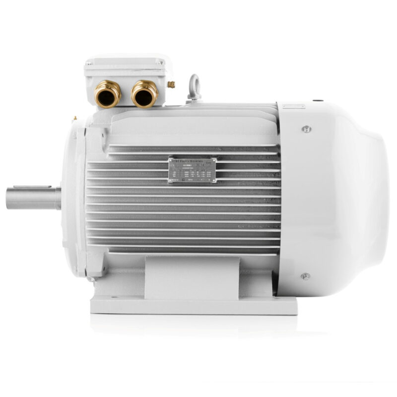 Ηλεκτρικός κινητήρας 45kW 3000 rpm, IE3, 400V/690V 3LC πώληση